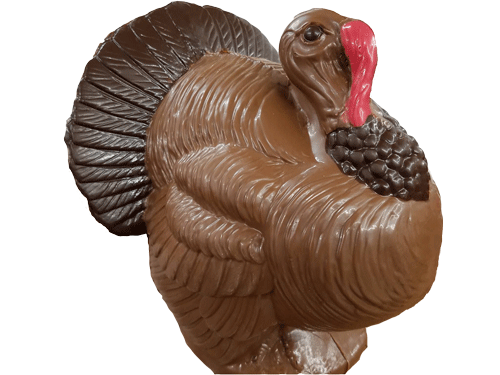 Thanksgiving